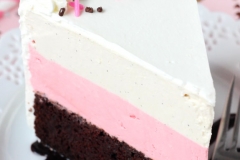 Neapolitan_Ice_Cream_Cake8